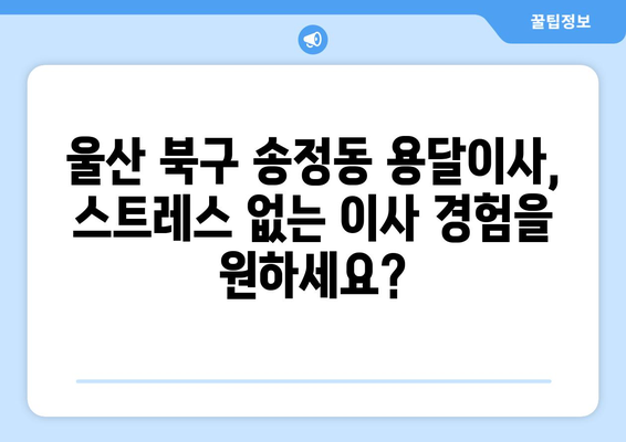 울산 북구 송정동 용달이사, 믿을 수 있는 업체 찾는 방법 | 견적 비교, 후기 확인, 이삿짐센터 추천