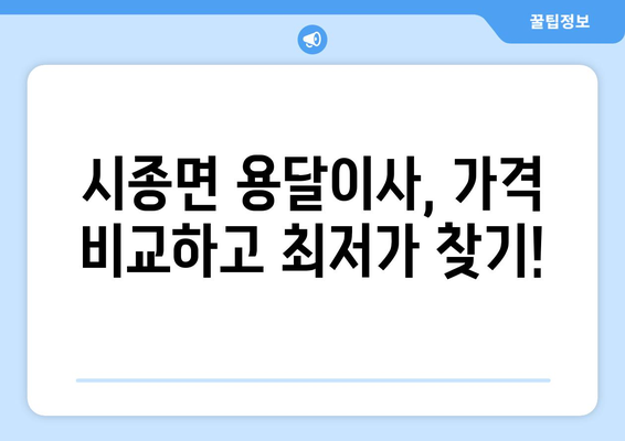 전라남도 영암군 시종면 용달이사 전문 업체 추천 | 저렴하고 안전한 이사, 지금 바로 확인하세요!