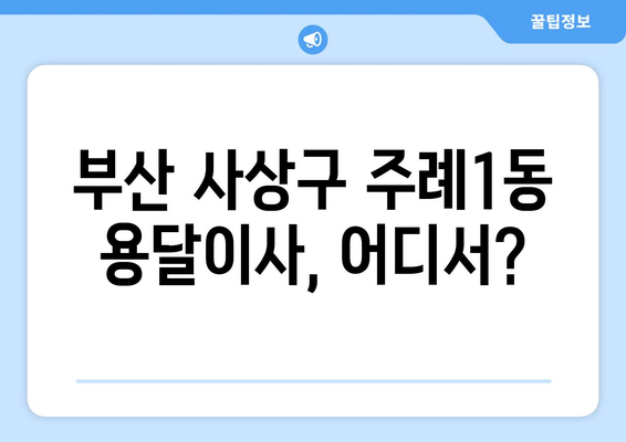 부산 사상구 주례1동 용달이사 전문 업체 찾기| 가격 비교 & 후기 | 이삿짐센터, 용달, 저렴한 이사