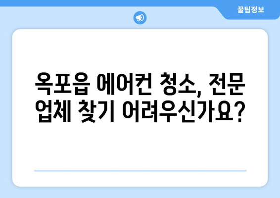 대구 달성군 옥포읍 에어컨 청소| 전문 업체 추천 & 가격 비교 | 에어컨 청소, 옥포읍, 대구 달성군, 가격