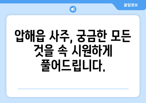 전라남도 신안군 압해읍 사주| 풀어보는 당신의 운명과 미래 | 신안, 압해, 사주, 운세, 점집, 전문가