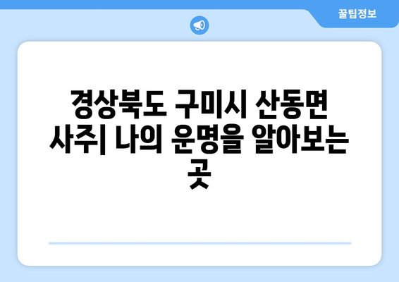 경상북도 구미시 산동면 사주| 나의 운명을 알아보는 곳 |  운세, 신점, 사주풀이, 전통문화