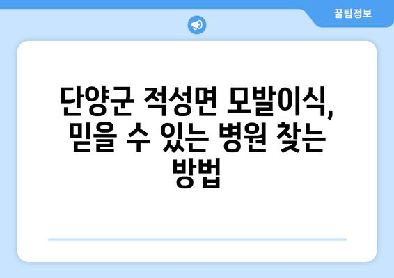 단양군 적성면 모발이식|  믿을 수 있는 병원 찾기 | 모발이식, 탈모, 비용, 후기, 추천