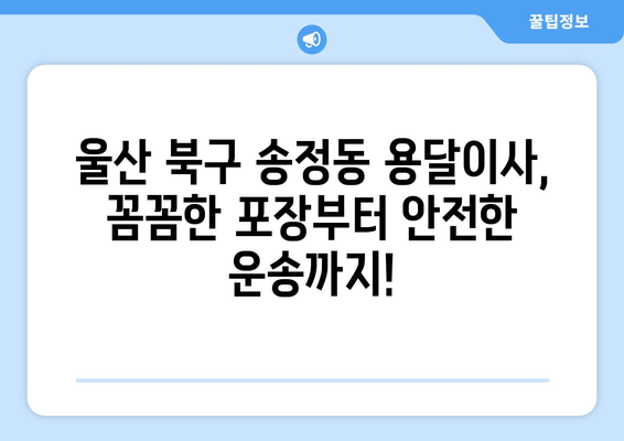 울산 북구 송정동 용달이사, 믿을 수 있는 업체 찾는 방법 | 견적 비교, 후기 확인, 이삿짐센터 추천