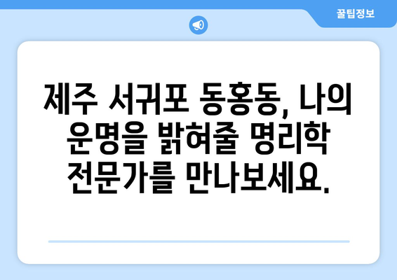 제주 서귀포 동홍동에서 나의 운명을 알아보세요| 신뢰할 수 있는 사주 명인 추천 | 제주도, 서귀포시, 사주, 운세, 명리학