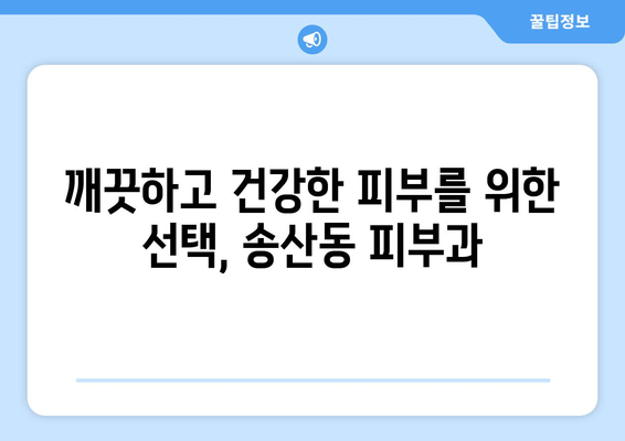 제주도 서귀포시 송산동 피부과 추천| 믿을 수 있는 의료진과 뛰어난 시설을 찾아보세요 | 서귀포, 피부과, 송산동, 추천, 의료, 진료