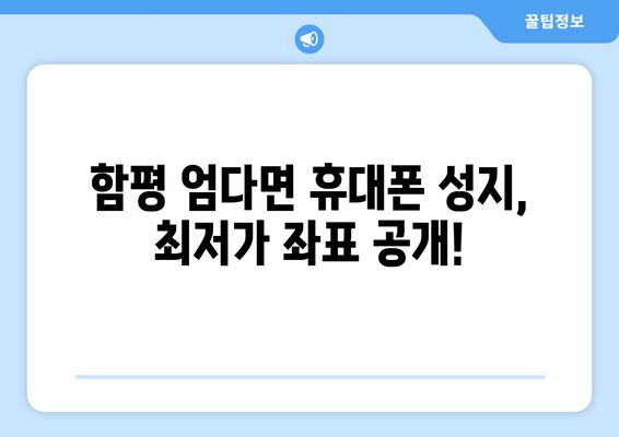 전라남도 함평군 엄다면 휴대폰 성지 좌표| 꿀팁 & 추천 매장 |  휴대폰 저렴하게 구매, 최저가 좌표, 핸드폰 성지 정보