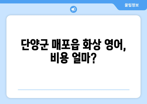 단양군 매포읍 화상 영어, 비용 얼마나 들까요? | 화상 영어 추천, 가격 비교, 후기