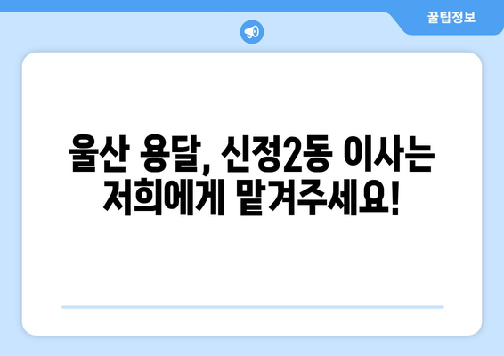 울산 남구 신정2동 1톤 용달이사| 빠르고 안전한 이사, 지금 바로 예약하세요! | 울산 용달, 1톤 이삿짐, 저렴한 이사, 신정2동 이사