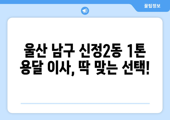 울산 남구 신정2동 1톤 용달이사| 빠르고 안전한 이사, 지금 바로 예약하세요! | 울산 용달, 1톤 이삿짐, 저렴한 이사, 신정2동 이사