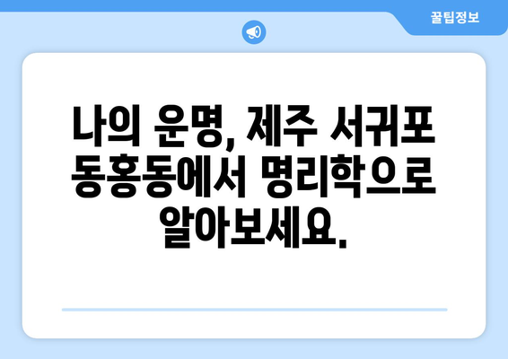 제주 서귀포 동홍동에서 나의 운명을 알아보세요| 신뢰할 수 있는 사주 명인 추천 | 제주도, 서귀포시, 사주, 운세, 명리학