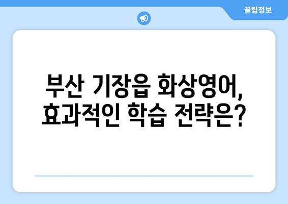 부산 기장읍 화상 영어 비용 비교 가이드| 나에게 맞는 수업 찾기 | 화상영어, 비용, 추천, 후기