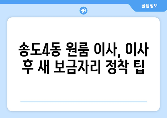 인천 연수구 송도4동 원룸 이사, 꼼꼼하게 준비하세요! | 원룸 이사 꿀팁, 가격 비교, 업체 추천