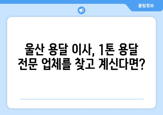 울산 중구 병영2동 1톤 용달이사| 빠르고 안전한 이사, 지금 바로 예약하세요! | 울산 용달, 1톤 용달, 이사짐센터, 저렴한 이사