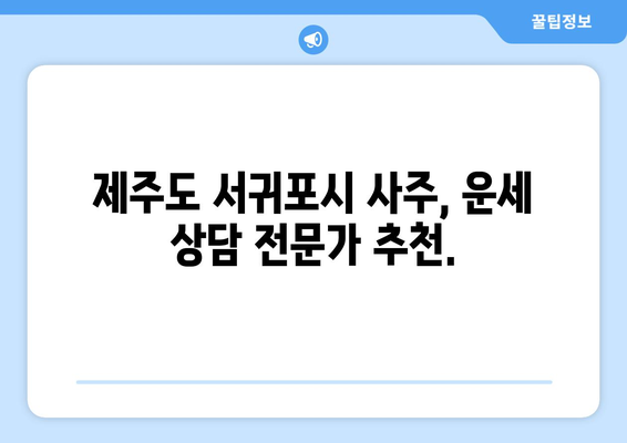 제주 서귀포 동홍동에서 나의 운명을 알아보세요| 신뢰할 수 있는 사주 명인 추천 | 제주도, 서귀포시, 사주, 운세, 명리학