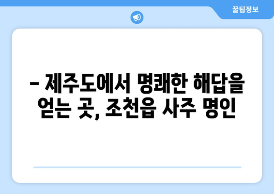 제주도 제주시 조천읍에서 찾는 나만의 사주 명인 | 제주도 사주, 조천읍 사주, 운세, 신점, 점집