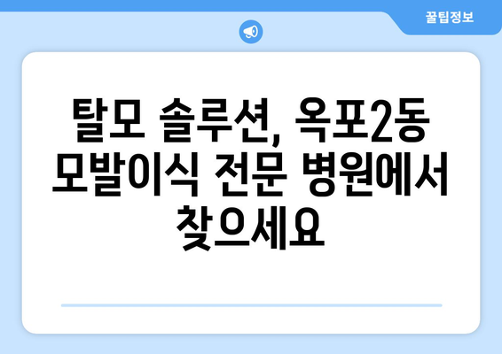 거제시 옥포2동 모발이식 전문 병원 찾기| 비용, 후기, 추천 정보 | 거제, 옥포, 모발이식, 탈모, 솔루션