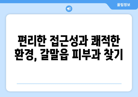 강원도 철원군 갈말읍 피부과 추천| 믿을 수 있는 의료진과 편리한 접근성을 찾아보세요 | 피부과, 진료, 의료 정보, 추천