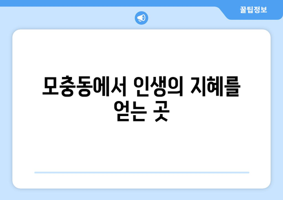 청주 서원구 모충동 사주 잘 보는 곳 추천 | 청주 사주, 운세, 궁합, 신점,  타로,  사주 상담